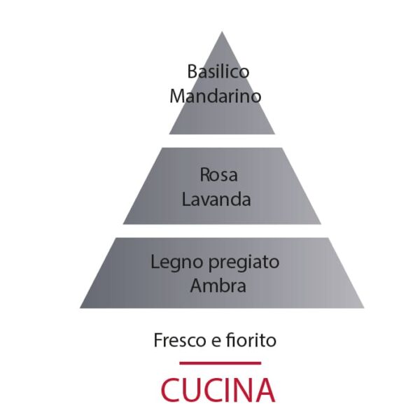 Maison Berger Essenza anti odori cucina piramide olfattiva