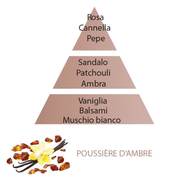 Maison Berger Poussiere d'ambre piramide olfattiva