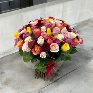Rose Colorate Giambarioli.it