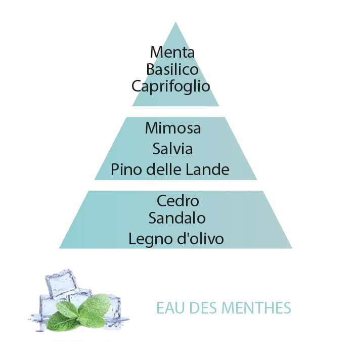 Maison Berger Eau des Menthes Piramide Olfattiva