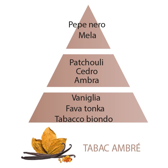 Maison Berger Tabac Ambré Piramide Olfattiva