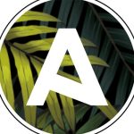 Akinod logo