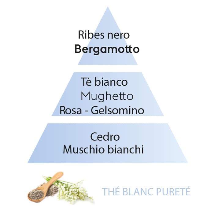 Maison Berger Thé Blanc Peuerté Piramide Olfattiva