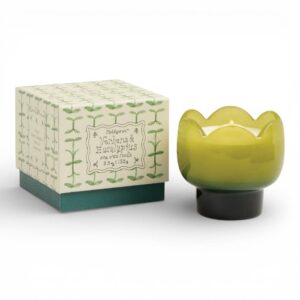 Candela profumata Paddywax Tulip Verbena & Lemongrass in vetro tulipano 155 g