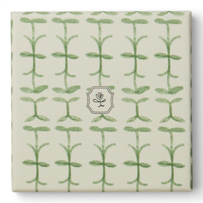 Candela profumata Paddywax Tulip Verbena & Lemongrass in vetro tulipano 155 g