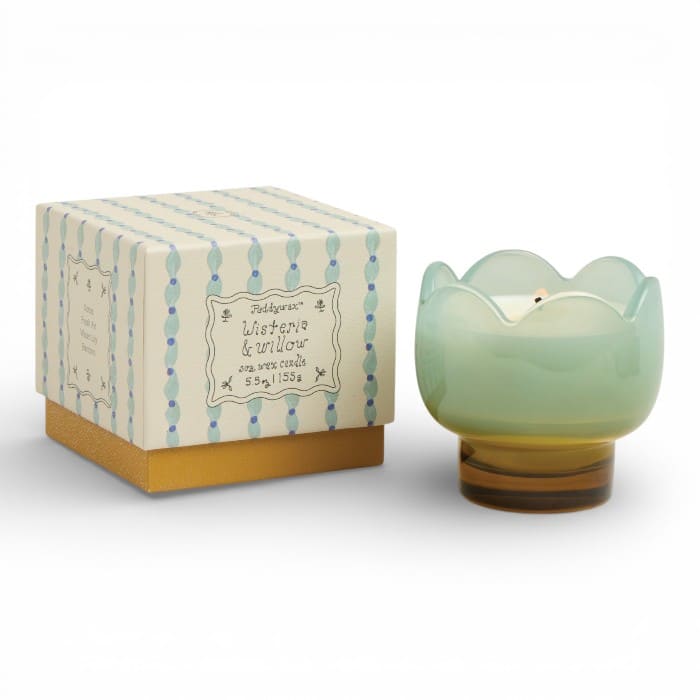 Candela profumata Paddywax Tulip Wisteria & Willow in vetro tulipano 155 g