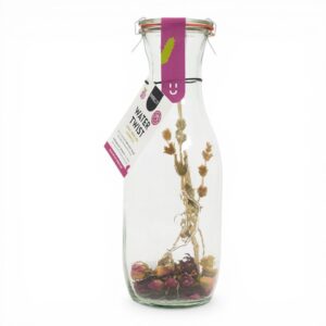 Pineut WaterTwist rosa te montagna ibisco preparato bottiglia bio