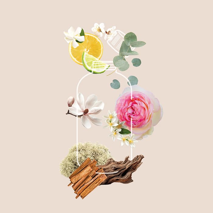 Profumatore per bucato Flower Breeze 500 ml Il Bucato di Adele