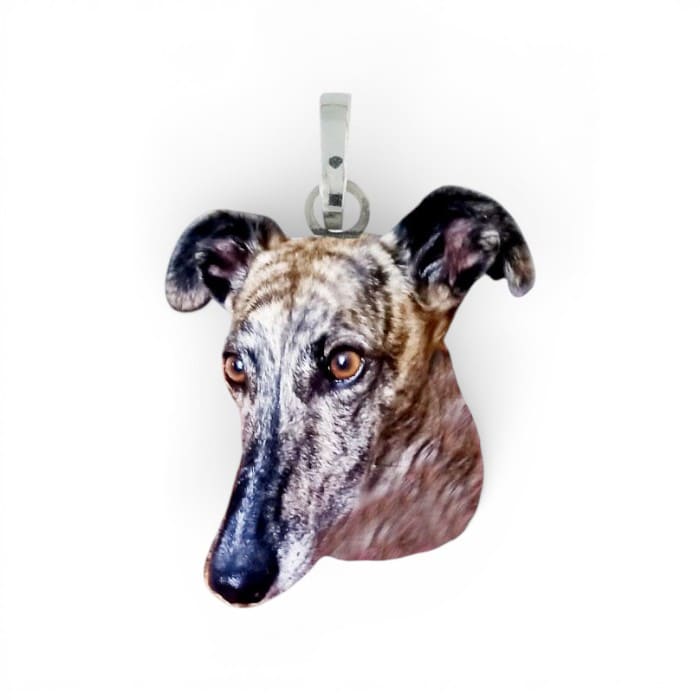Charms My Best Pet Levriero in argento
