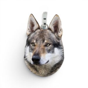 Charms My Best Pet Lupo Cecoslovacco in argento