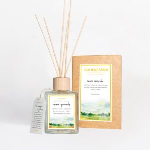 Come Quando profumatore ambiente Sole 200 ml Eucalipto e Patchouli con flacone in vetro e tappo in legno.
